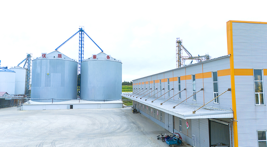 1735867957896071.jpg 未標題-3.jpg